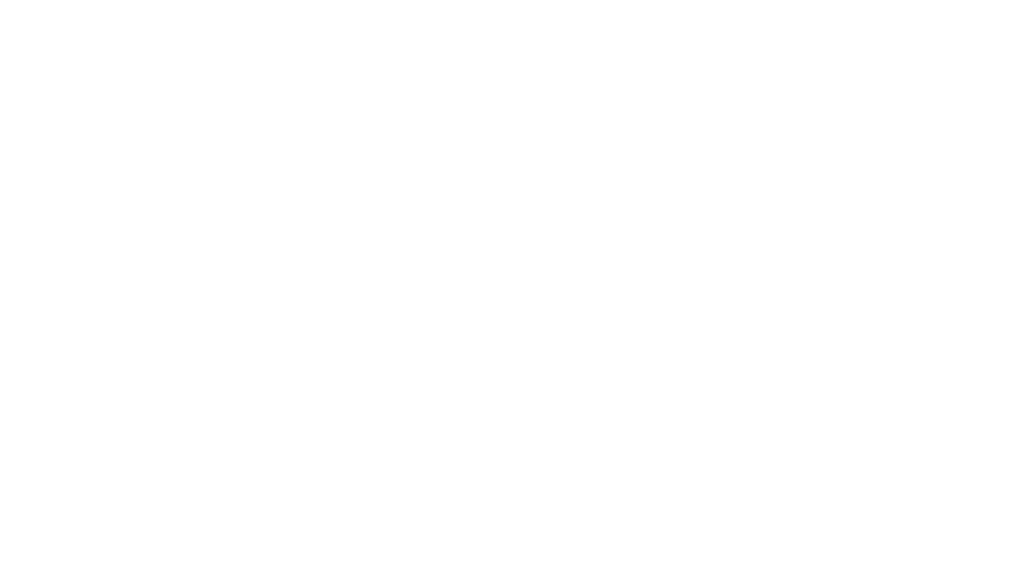 ivankovic.torus-inc.tech
